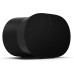 Era 300 Spatial Audio Speaker